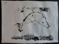 DSC03460
