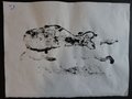 DSC03461