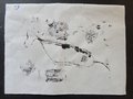 DSC03556