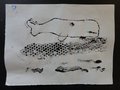 DSC03545