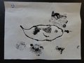 DSC03548