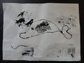 DSC03565