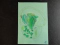 DSC03639