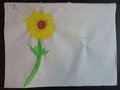 DSC03670