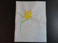 DSC03660