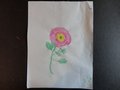 DSC03662