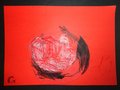 DSC03704