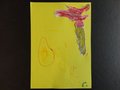 DSC03705