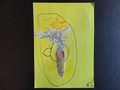 DSC03735