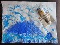 DSC04066