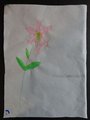 DSC04050