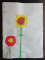 DSC04216