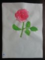 DSC04214