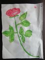 DSC04215