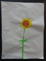 DSC04251