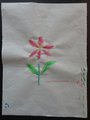 DSC04250