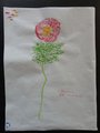 DSC04255