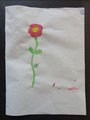 DSC04249