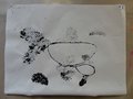 DSC04299