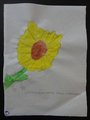 DSC04509
