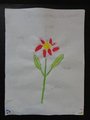 DSC04507