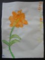DSC04514