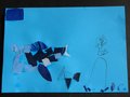 DSC04551