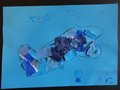 DSC04960