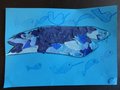 DSC04955