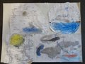 DSC05042