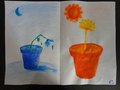 DSC05048