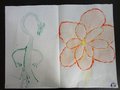 DSC05053