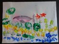 DSC05277