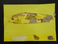 DSC05557