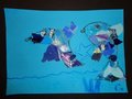 DSC05562