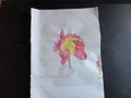 DSC06664