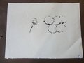 2016_10_19_Parmini5P (15)
