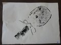 2016_10_19_Parmini5P (4)
