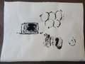 2016_10_19_Parmini5P (16)