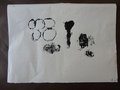 2016_10_19_Parmini5P (7)