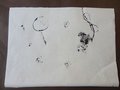 2016_10_19_Parmini5P (8)