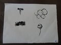 2016_10_19_Parmini5P (3)