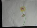DSC06887