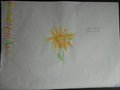 DSC06880