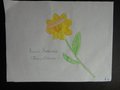 DSC06891