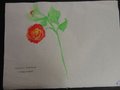 DSC06934