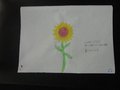 DSC06957