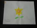 DSC06961