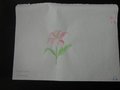DSC06955