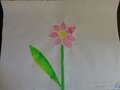 DSC06964